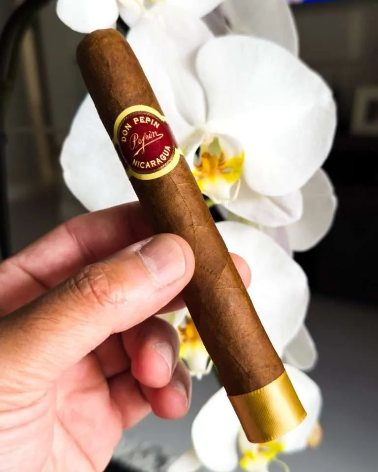 DON PEPIN -VINTAGE EDITION   TORO