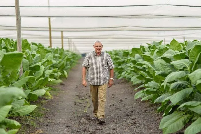 PLASENCIA CIGARS CELEBRATES DON NESTOR PLASENCIA’S 75th BIRTHDAY BY RECOGNIZING THOSE WHO HAVE ASSISTED THE FAMILY THROUGHOUT HIS DECADES LONG JOURNEY