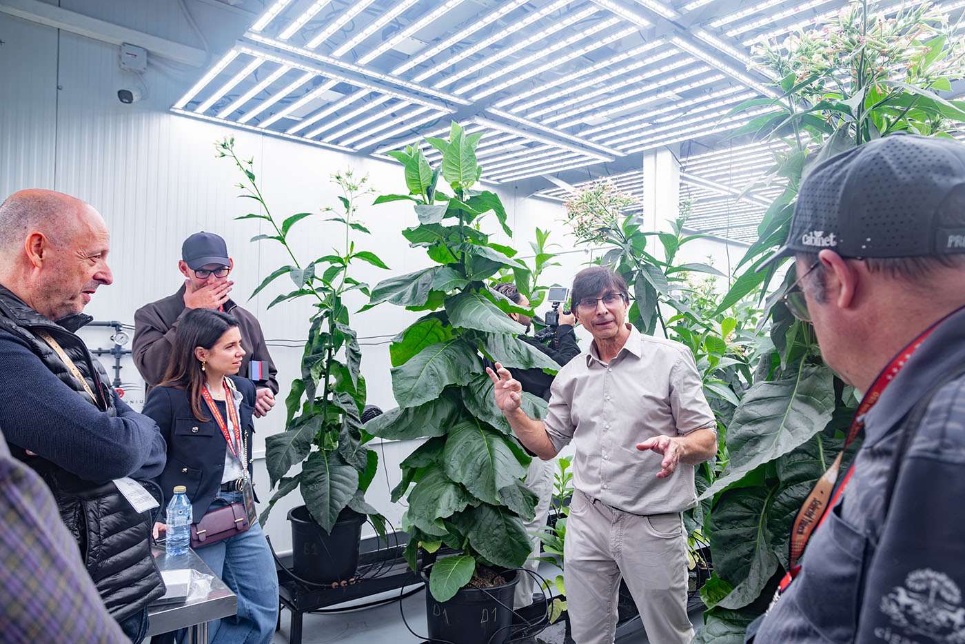 Guests tour tobacco plants in Selected Tobacco's Madrid germination laboratory
